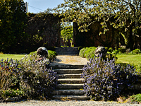 Trereife Garden